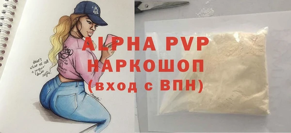 ПСИЛОЦИБИНОВЫЕ ГРИБЫ Бородино
