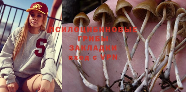 а пвп мука Бугульма