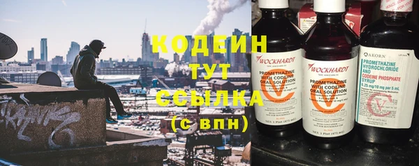 ПСИЛОЦИБИНОВЫЕ ГРИБЫ Бородино