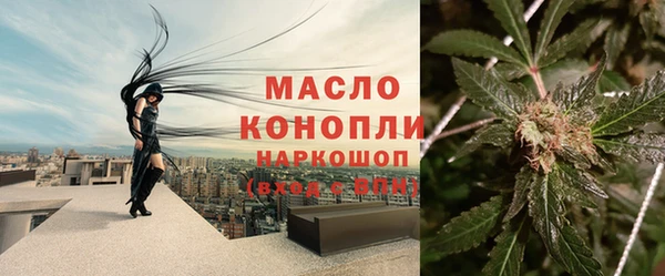 ПСИЛОЦИБИНОВЫЕ ГРИБЫ Бородино