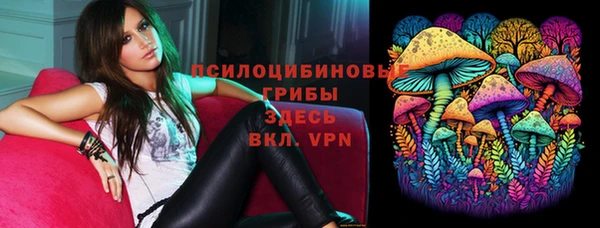 ПСИЛОЦИБИНОВЫЕ ГРИБЫ Бородино