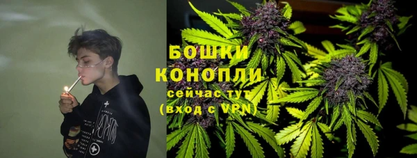 ПСИЛОЦИБИНОВЫЕ ГРИБЫ Бородино