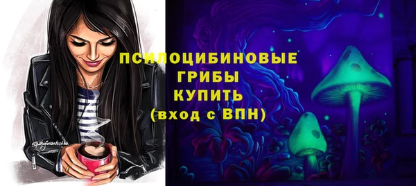 а пвп мука Бугульма