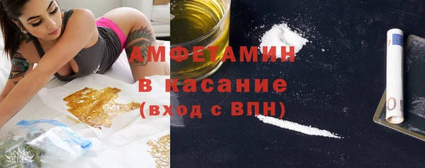 ПСИЛОЦИБИНОВЫЕ ГРИБЫ Бородино