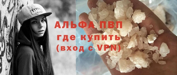 ПСИЛОЦИБИНОВЫЕ ГРИБЫ Бородино